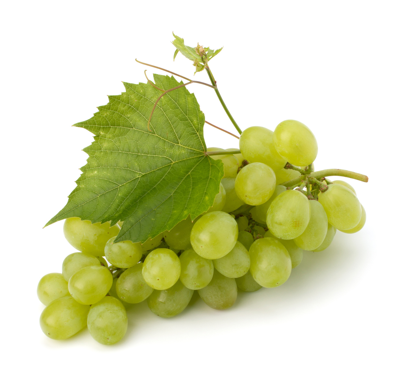 Grüne Weintraube Lebensmittelaroma Konzentrat